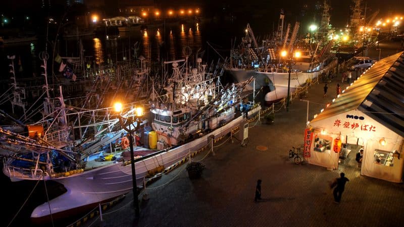 釧路市街地のホテル群と夜景