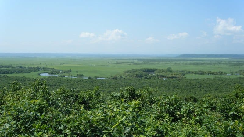広大な釧路湿原の全景と蛇行する川