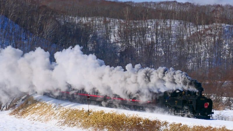 SLふゆの湿原号