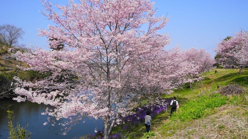 夕暮れの屋外ビアガーデンの賑わい
