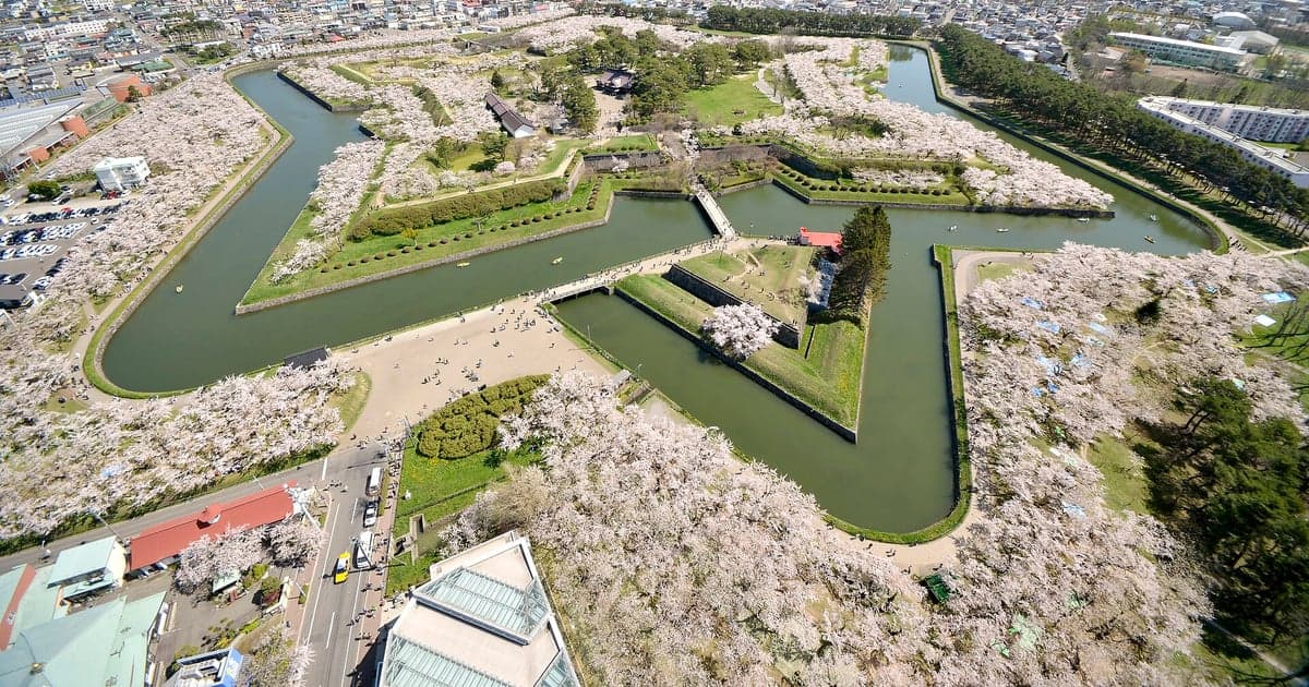 釧路の涼しい夏の夜を楽しむビアガーデン、道東の地ビールと開放的な会場の風景