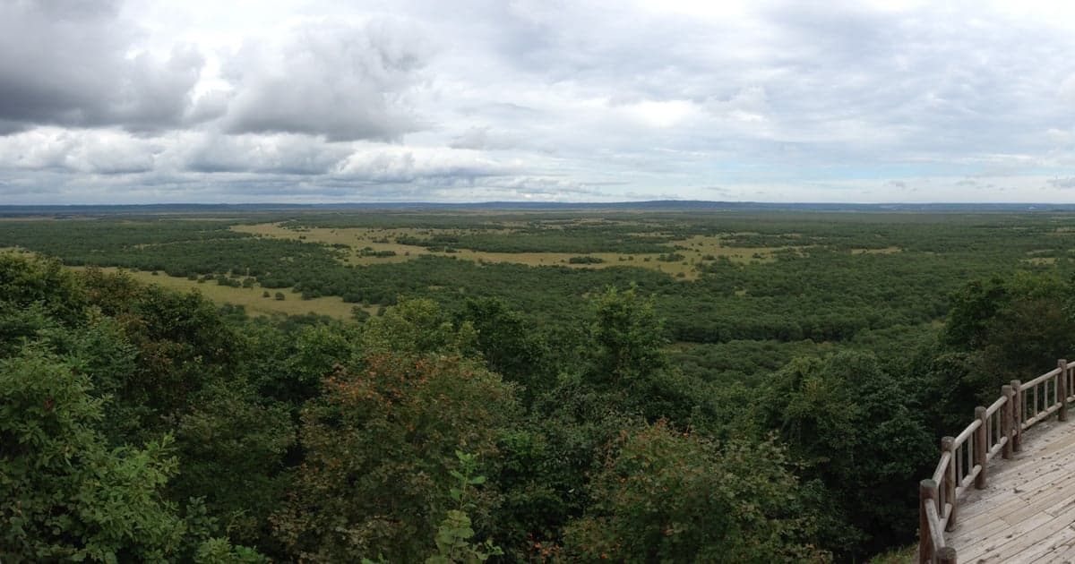 ゴールデンウィークの釧路の風景(幣舞橋から眺める釧路川)