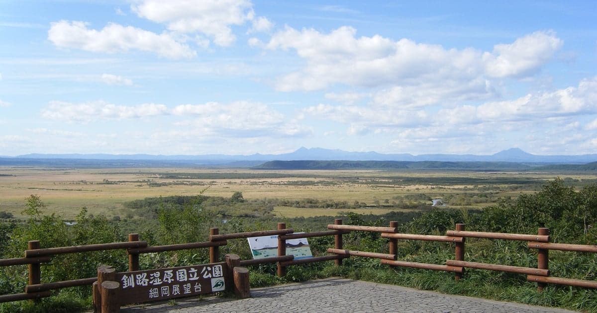 釧路湿原を見渡す細岡展望台からの眺め