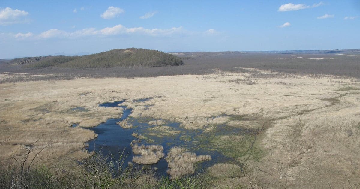 新緑が芽吹き始める5月の釧路湿原と釧路川