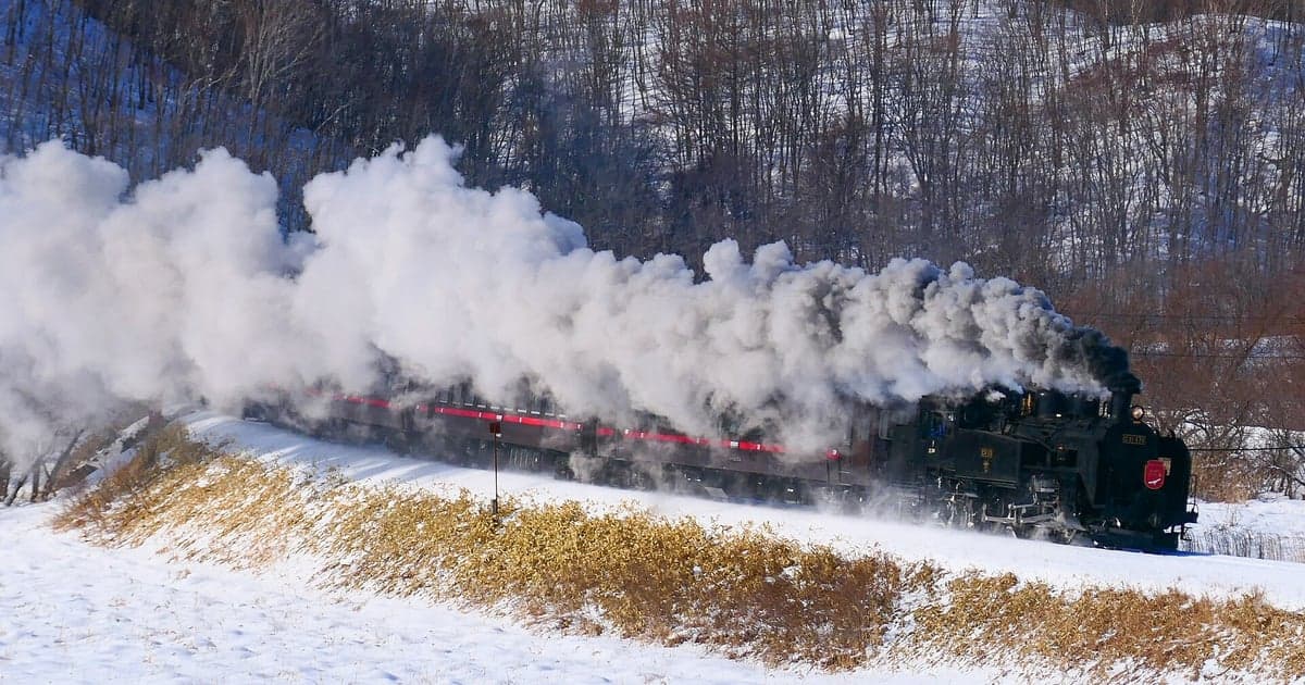 雪景色の釧路湿原を走るSL冬の湿原号