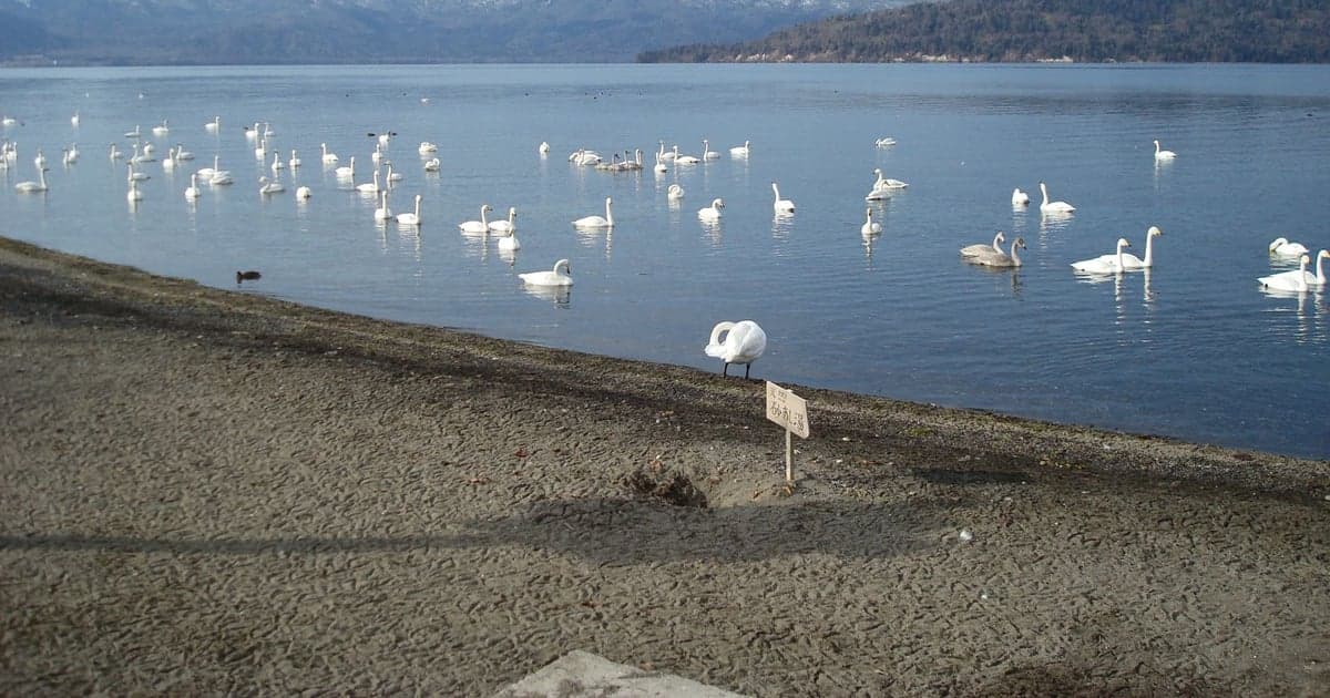 屈斜路湖畔の砂湯から見る湖面と対岸の山並み