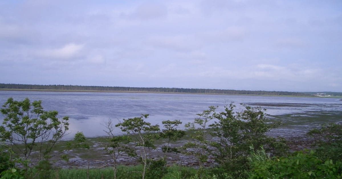 根室湾と風蓮湖を隔てる砂州・春国岱の湿原風景